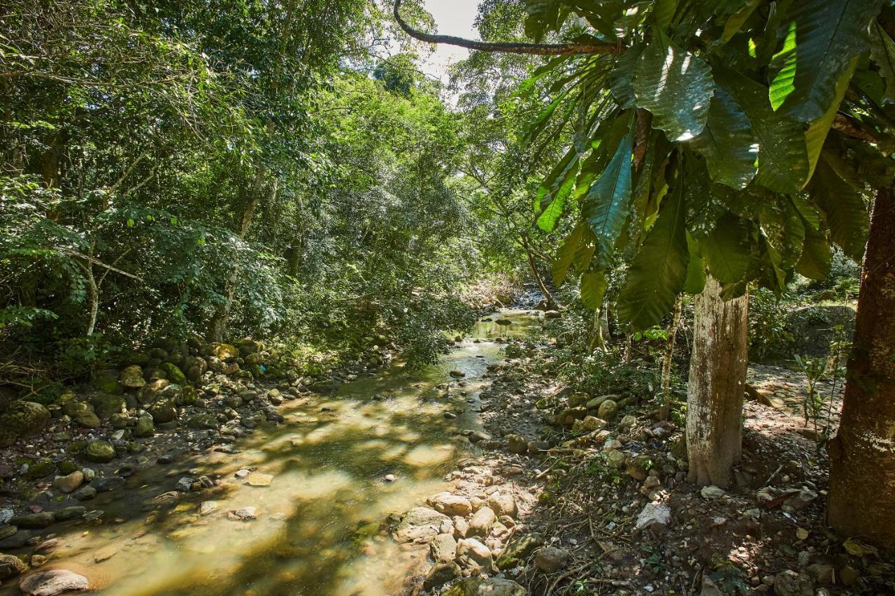 Villa Lu Amazon Ecolodge تارابوتو المظهر الخارجي الصورة