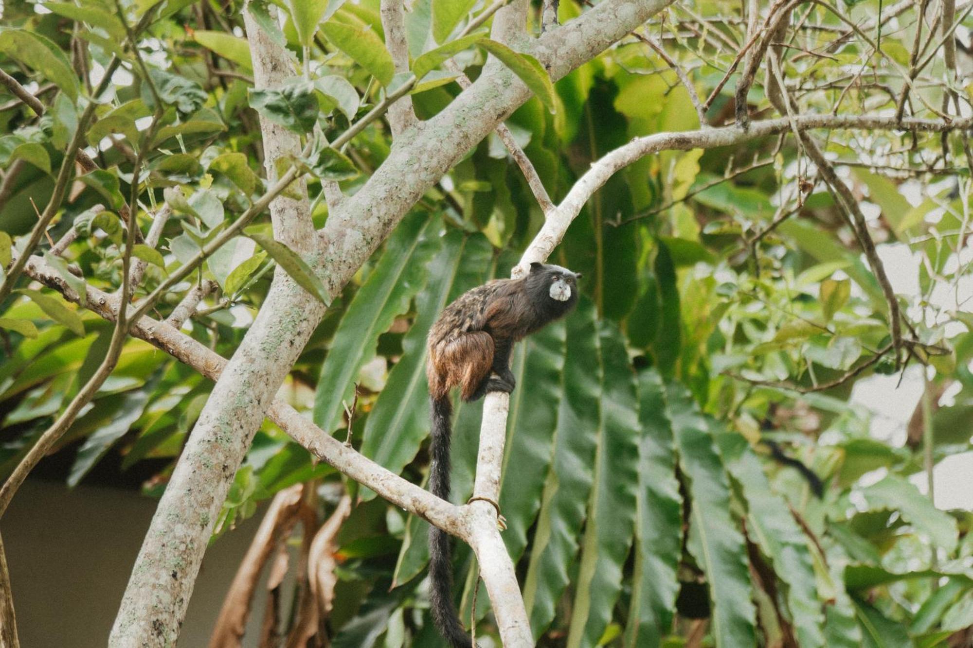 Villa Lu Amazon Ecolodge تارابوتو المظهر الخارجي الصورة